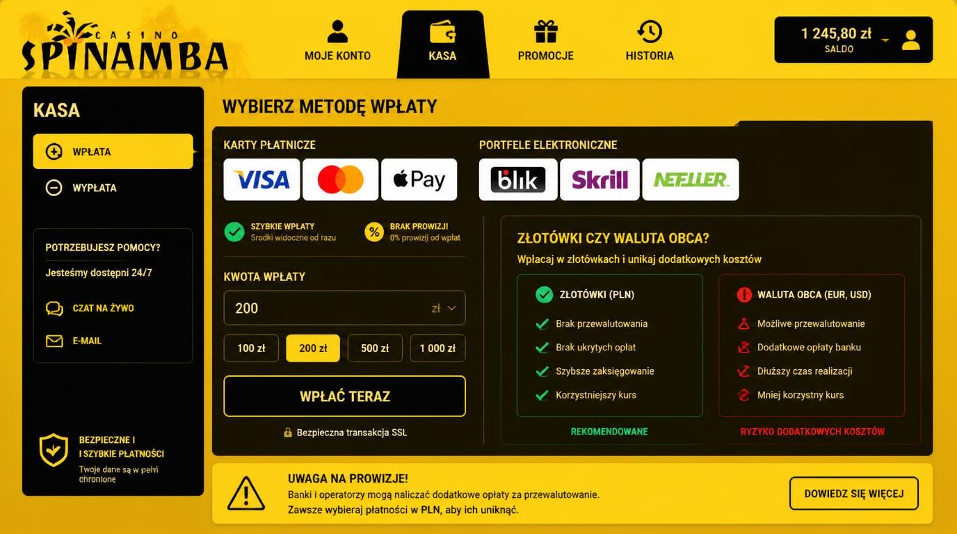 Ikony kart, e-portfeli, złotówek, znaków ostrzegawczych i 0% prowizji